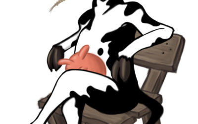 Mejo scerte per toro…
