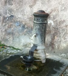 I "Nasoni" con le ciotole