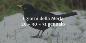 I giorni della merla