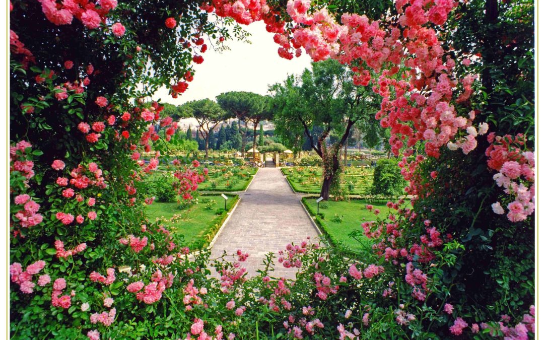 Il Roseto Comunale aperto dal 21 aprile al 18 giugno